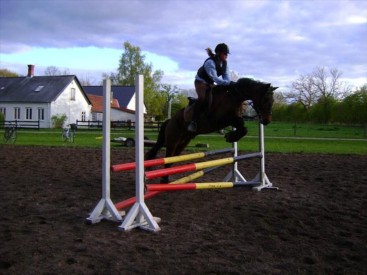 Anden særlig race Albert*KS-pony :'( -ILY!* - Springundervisning d. 10.05.10 ponyen var flyvende ;D  Fotograf: Jos billede 4