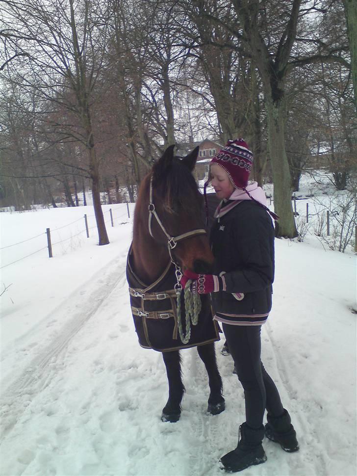 Anden særlig race Albert*KS-pony :'( -ILY!* -  Gå tur i sneen, med vores bedste venner..<3 Du varmer mit hjerte i kulden skatt.. Elsker dig mer end andet..<3 <3  Fotograf: Sabrina billede 5