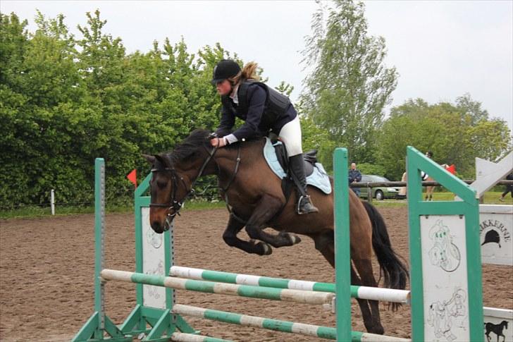 Anden særlig race Albert*KS-pony :'( -ILY!* - Første stævne ude.. Krikkerne 30-05-10 Han var flyvende, Elsker dig skat<3 Fotograf:Min helt egen Sabrina Lønfeldt<3 billede 13