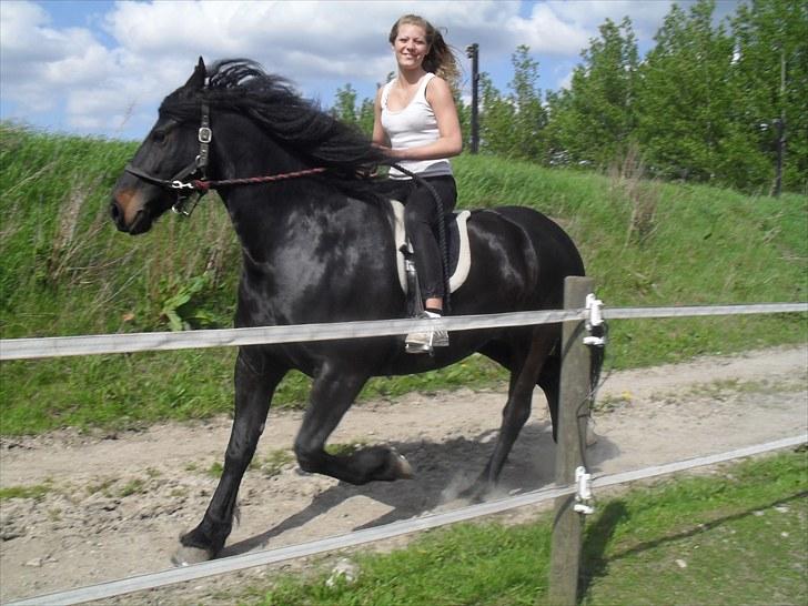 Frieser .- My Fear Lady -. - cille der øver gymnastik på lady :D billede 16