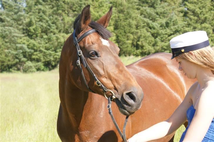 Dansk Varmblod Frederikke Alfarvad - Student 2009 billede 13