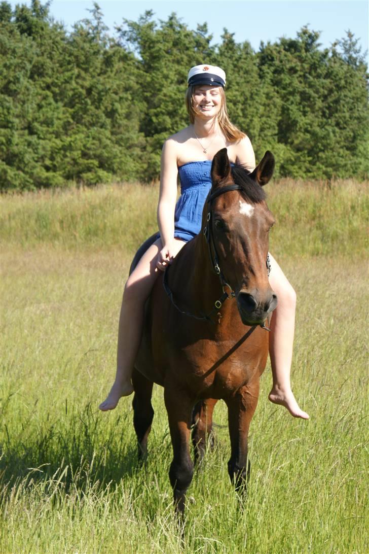 Dansk Varmblod Frederikke Alfarvad - Student 2009 billede 18