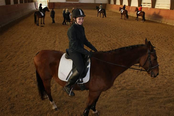 Anden særlig race Ramses R.I.P Altid elsket - Rigtig nervøs billede 2