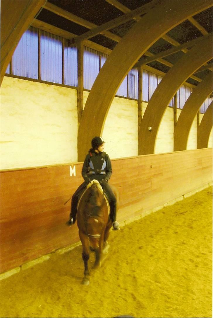 Anden særlig race Ramses R.I.P Altid elsket - Ramses er rigtig sød billede 6