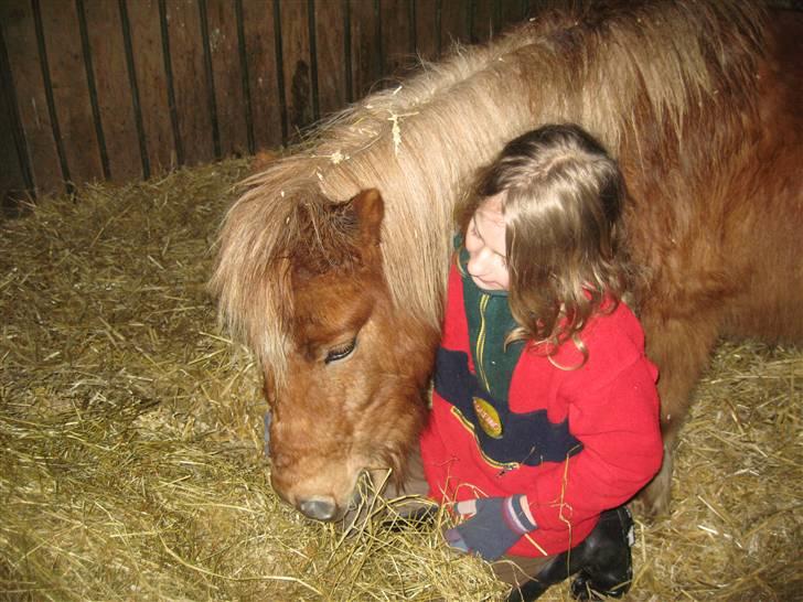 Anden særlig race Bølle Bob  <3 - mums....<3 hans dejlige wrap<3 billede 8
