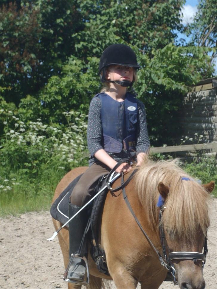 Anden særlig race Bølle Bob  <3 - uhh min  smukke dukke gøj du er bare den besdte<3 billede 9