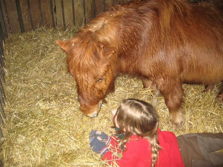 Anden særlig race Mikkel -  - vi diskutere om sliksten eller spagetti er bedst<3 billede 14
