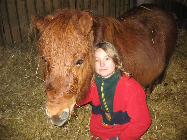 Anden særlig race Mikkel -  - den gamle trold<3 billede 15