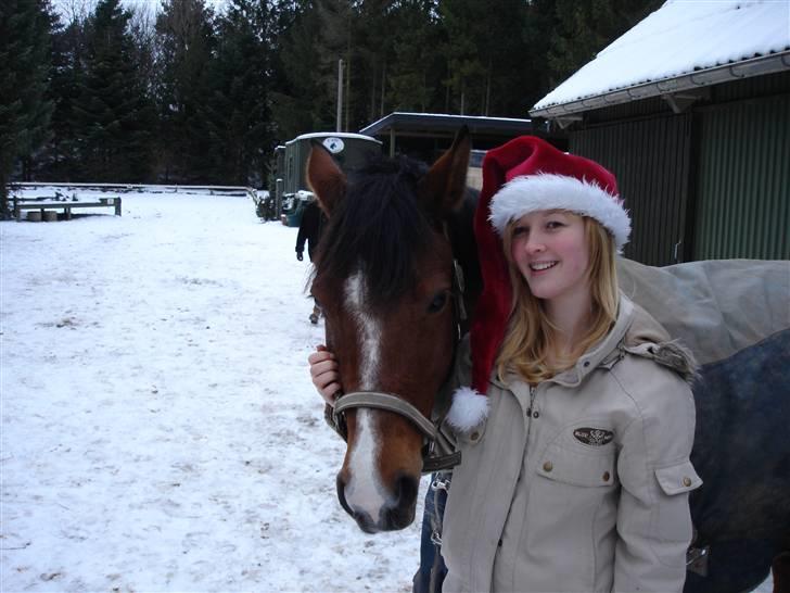 DSP Annemone *LÅNE PONY*  - Dagen efter hun var kommet til garnly d. 24/12 JULEAFTEN :D billede 4