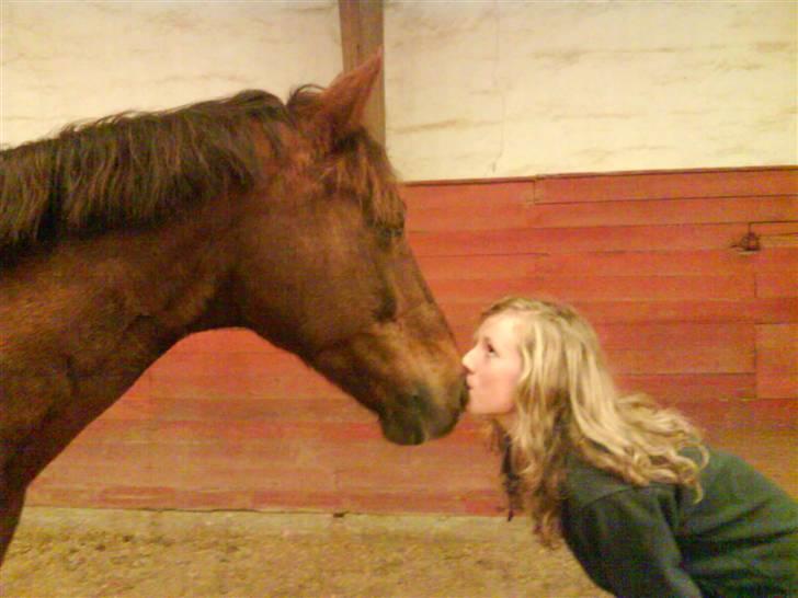 Anden særlig race Malibu billede 10