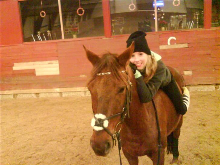 Anden særlig race Malibu billede 16