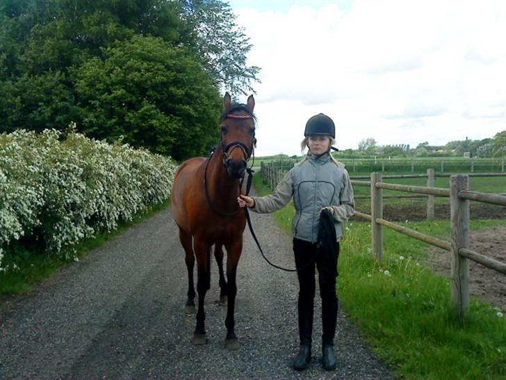 Anden særlig race Wieb *solgt* billede 17