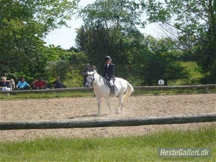 Anden særlig race casper aflivet R.I.P:* billede 8