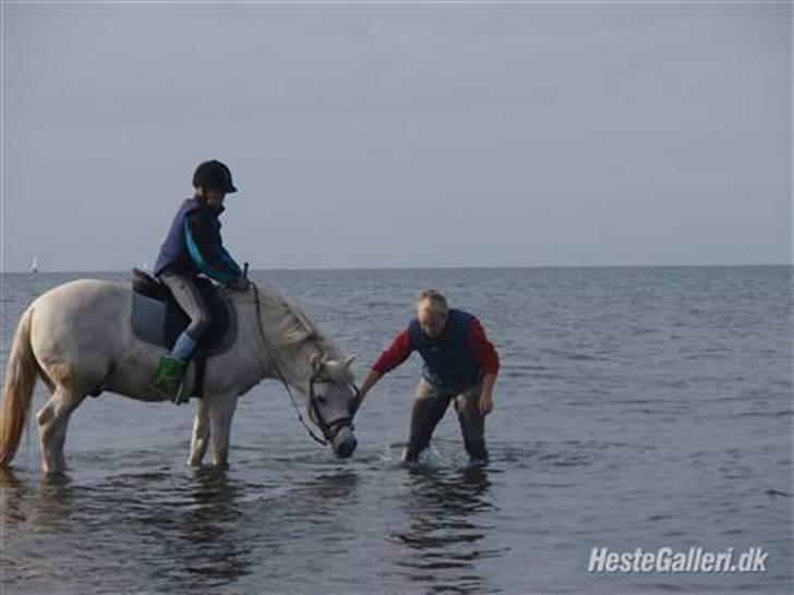 Anden særlig race casper aflivet R.I.P:* billede 10