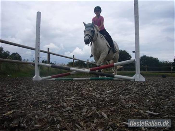 Anden særlig race casper aflivet R.I.P:* billede 11