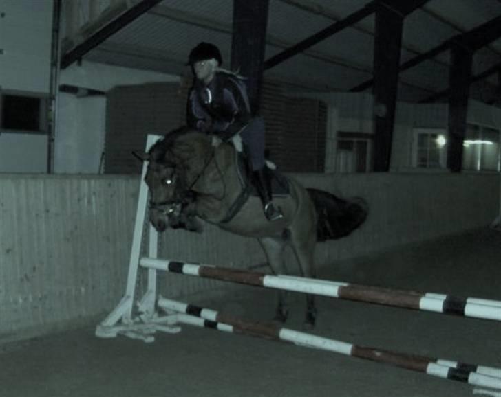 Anden særlig race Petit - SOLGT - NYT :D springning den 27/1-10..  billede 15
