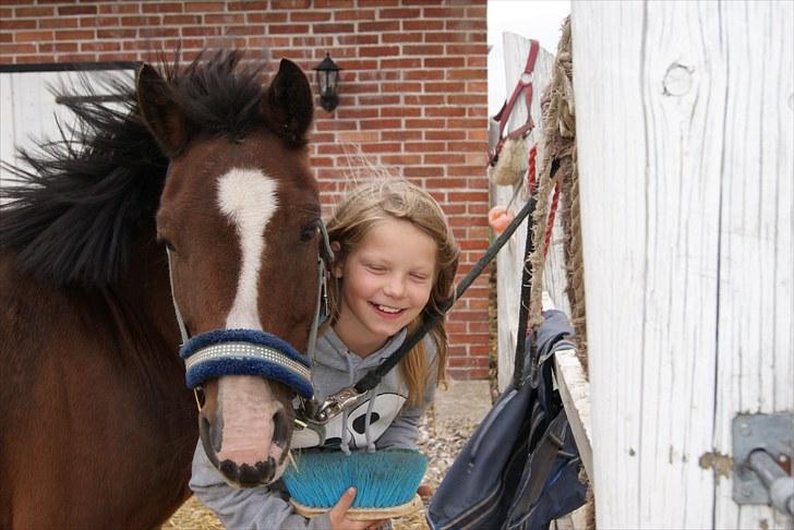 New Forest Fox<3 - Velkommen til Fox´ profil, smid gerne en kommentar+bedømmelse billede 1