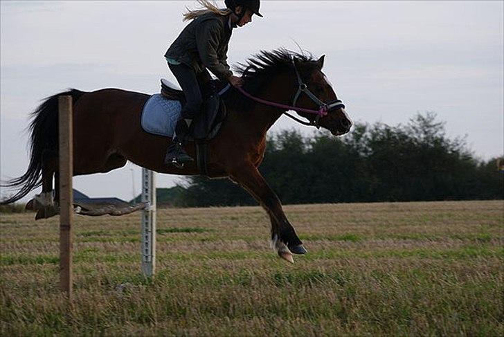 New Forest Fox<3 - Mig og Fox. billede 3