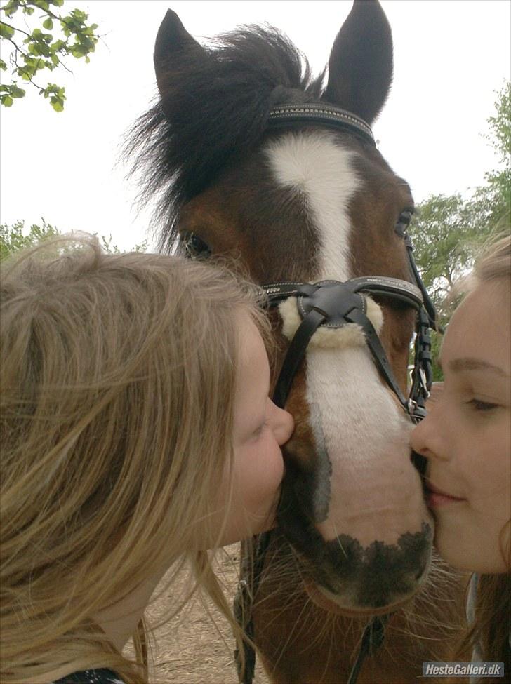 New Forest Fox<3 - mmmmmmmmmuuuuuuuuuhhhhhhhhh billede 4