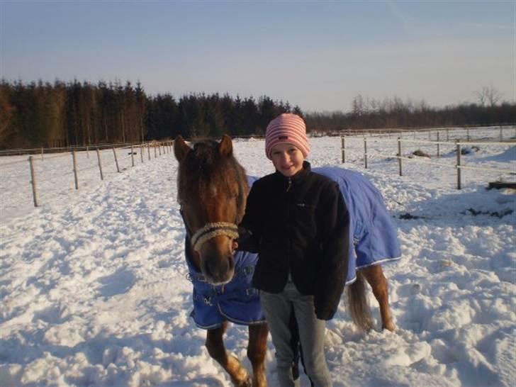 Anden særlig race o0o0 CHAPPY 0o0o Solgt<3 billede 13