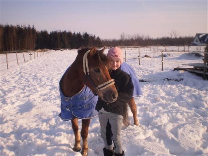 Anden særlig race o0o0 CHAPPY 0o0o Solgt<3 billede 14
