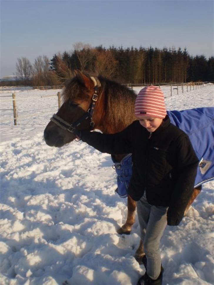 Anden særlig race o0o0 CHAPPY 0o0o Solgt<3 billede 15