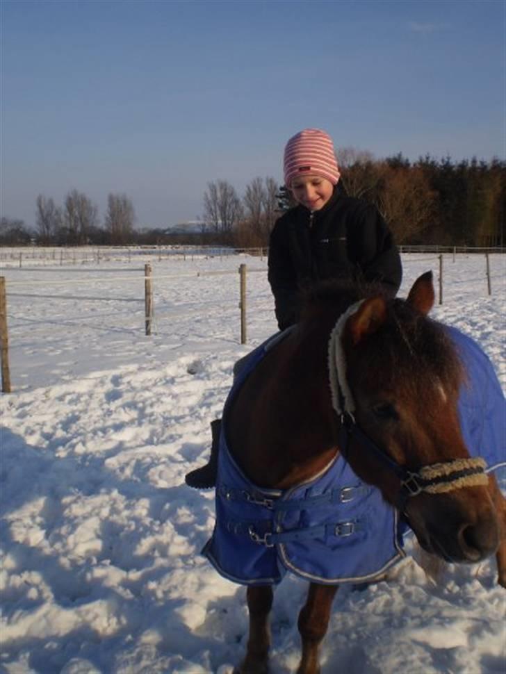 Anden særlig race o0o0 CHAPPY 0o0o Solgt<3 billede 16