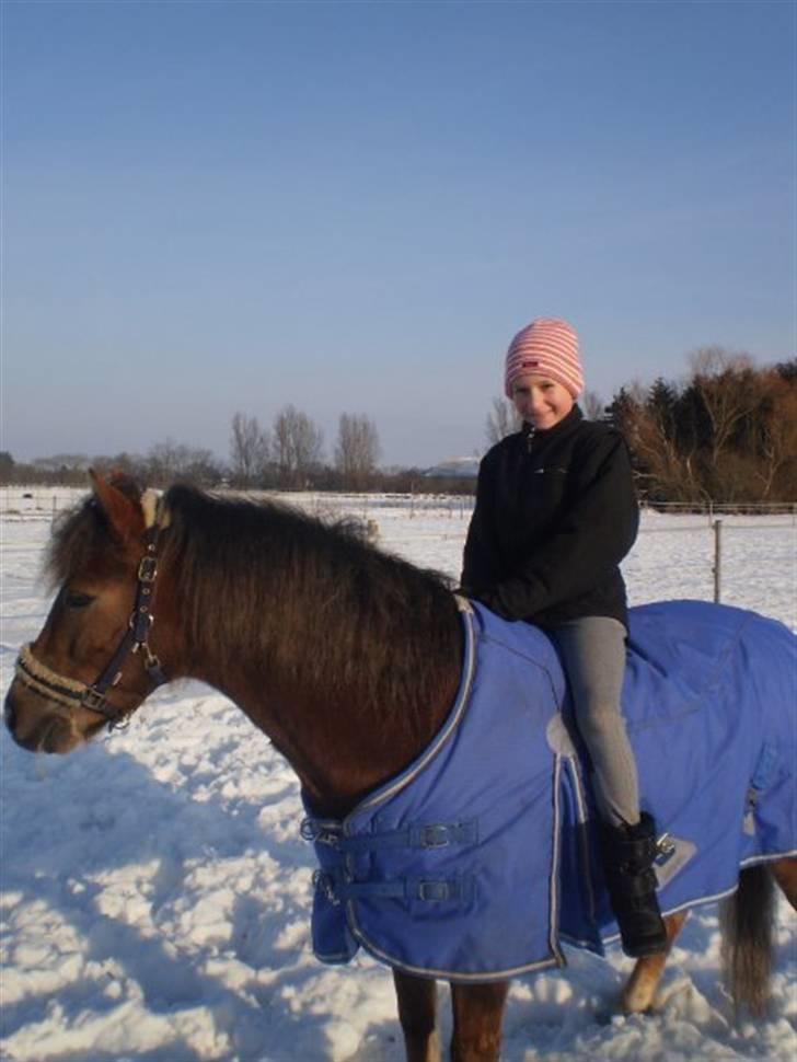 Anden særlig race o0o0 CHAPPY 0o0o Solgt<3 billede 17
