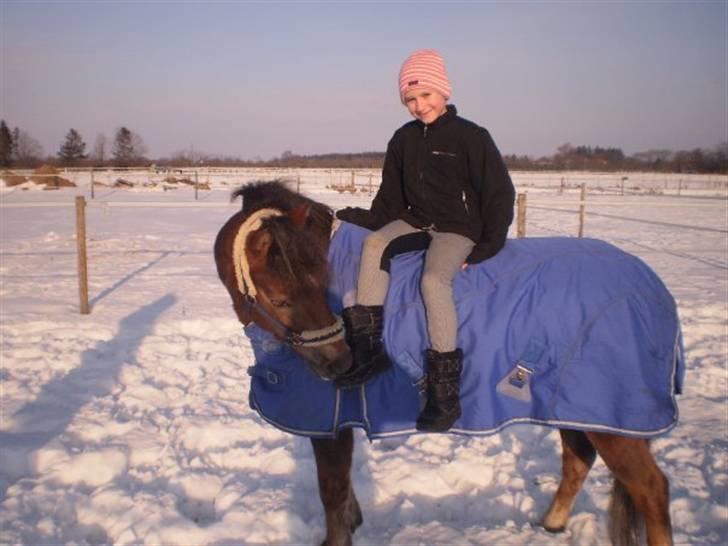 Anden særlig race o0o0 CHAPPY 0o0o Solgt<3 billede 18