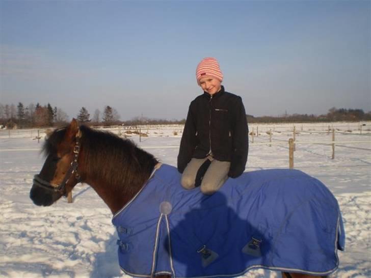 Anden særlig race o0o0 CHAPPY 0o0o Solgt<3 billede 19
