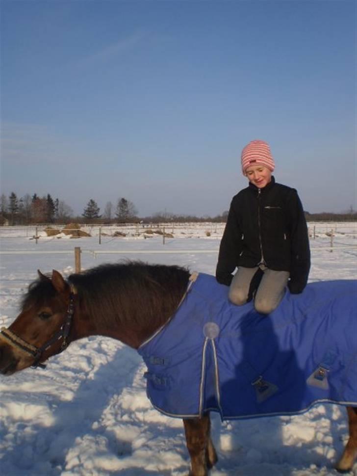 Anden særlig race o0o0 CHAPPY 0o0o Solgt<3 billede 20