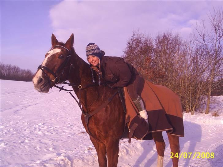 Anden særlig race Cover Girl (Aflivet) :'( billede 1