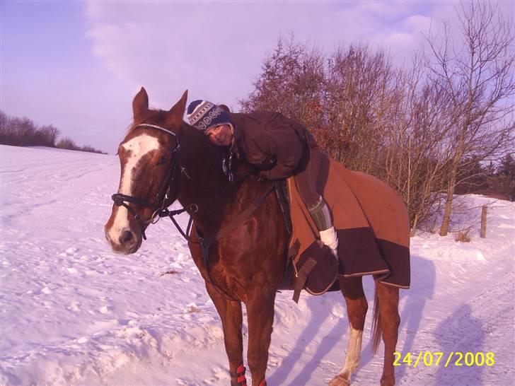 Anden særlig race Cover Girl (Aflivet) :'( billede 2