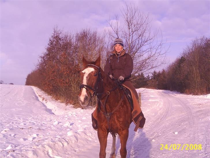 Anden særlig race Cover Girl (Aflivet) :'( billede 3