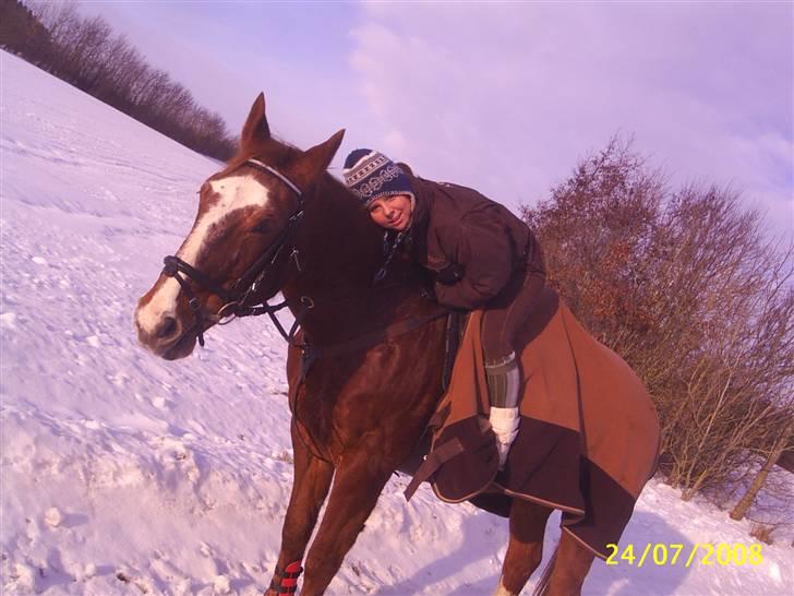 Anden særlig race Cover Girl (Aflivet) :'( billede 4