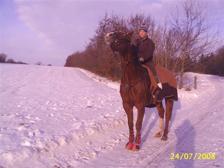 Anden særlig race Cover Girl (Aflivet) :'( billede 5