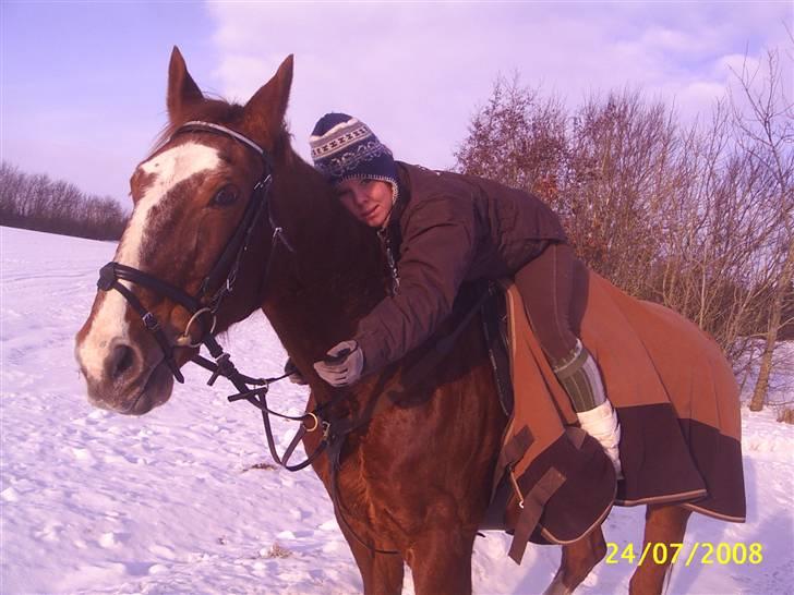 Anden særlig race Cover Girl (Aflivet) :'( billede 6