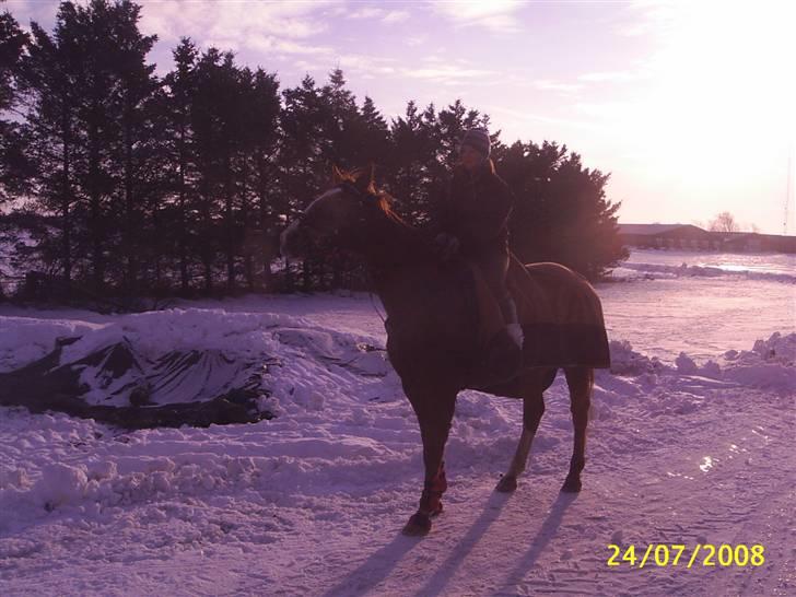 Anden særlig race Cover Girl (Aflivet) :'( billede 7