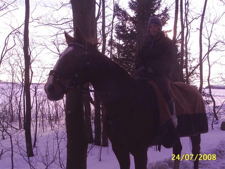 Anden særlig race Cover Girl (Aflivet) :'( billede 8