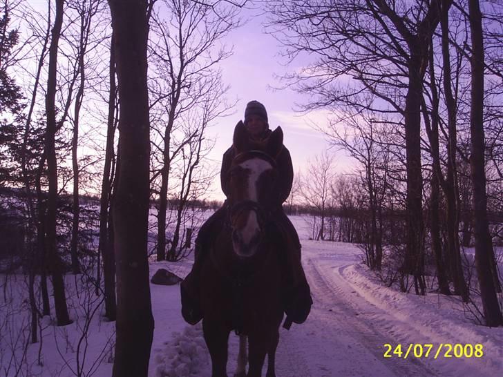 Anden særlig race Cover Girl (Aflivet) :'( billede 9