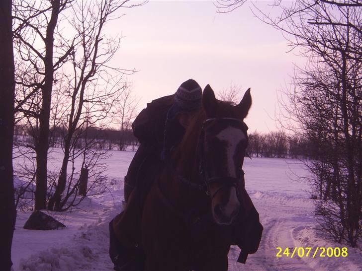 Anden særlig race Cover Girl (Aflivet) :'( billede 10