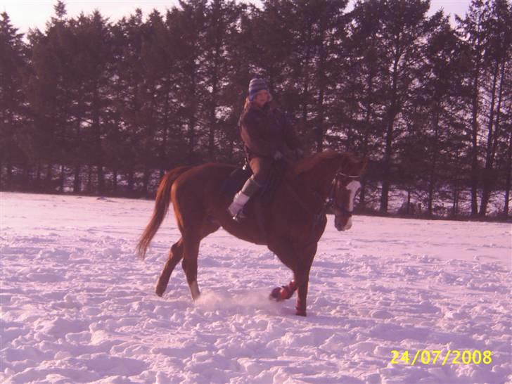 Anden særlig race Cover Girl (Aflivet) :'( billede 12