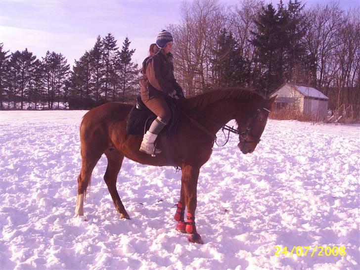 Anden særlig race Cover Girl (Aflivet) :'( billede 15