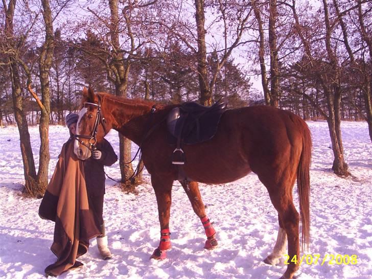 Anden særlig race Cover Girl (Aflivet) :'( billede 16