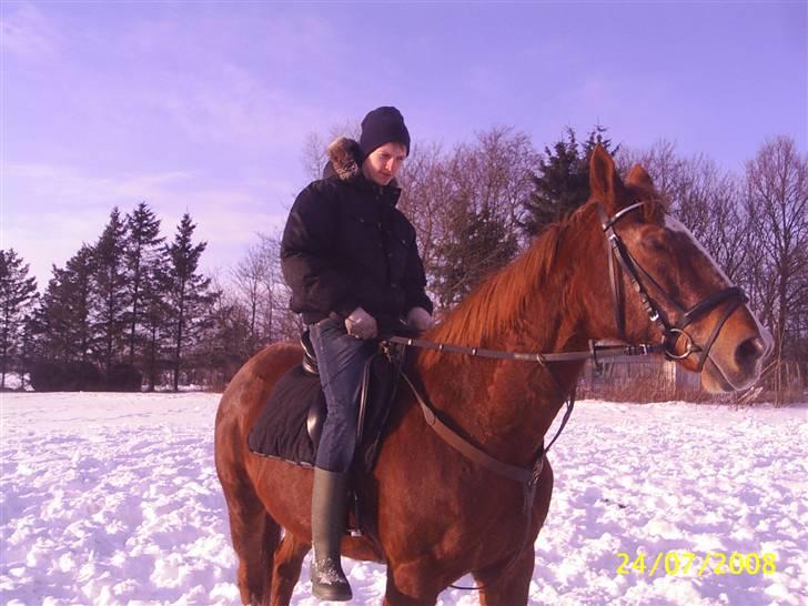 Anden særlig race Cover Girl (Aflivet) :'( billede 17