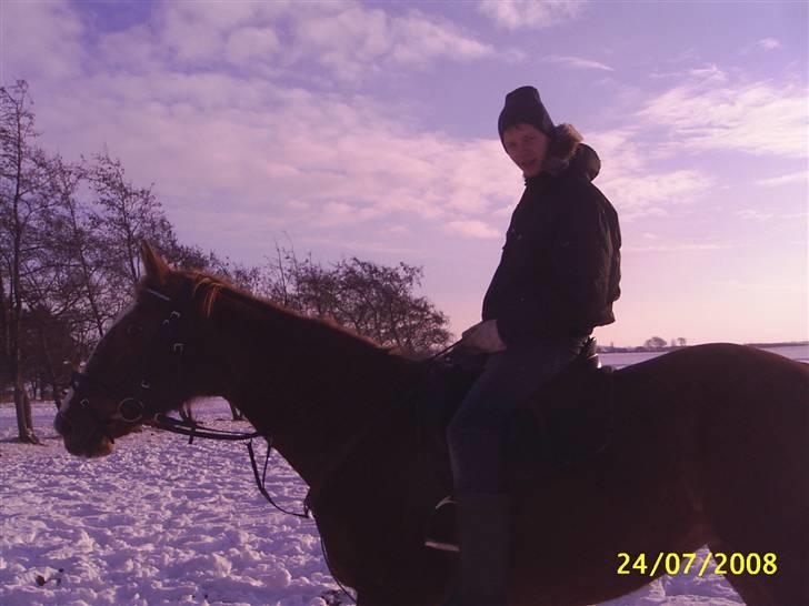 Anden særlig race Cover Girl (Aflivet) :'( billede 18