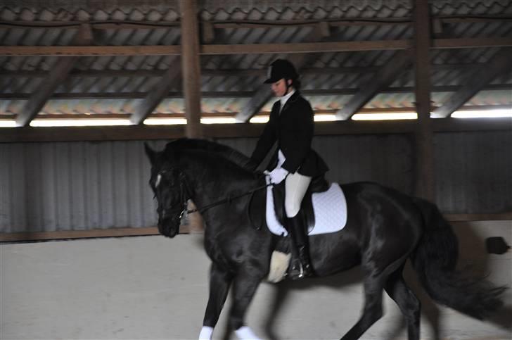 Anden særlig race yasmin, min passer hest. - Yasmin og jeg til stævne på vemmelv rideklub (: billede 2