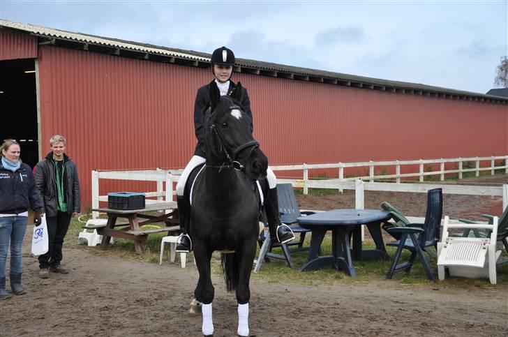 Anden særlig race yasmin, min passer hest. - Yasmin og jeg til stævne på vemmelv rideklub (: billede 3