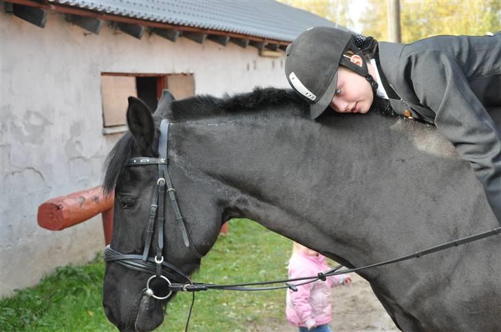 Anden særlig race yasmin, min passer hest. - Yasmin og jeg til stævne på vemmelv rideklub (: billede 4