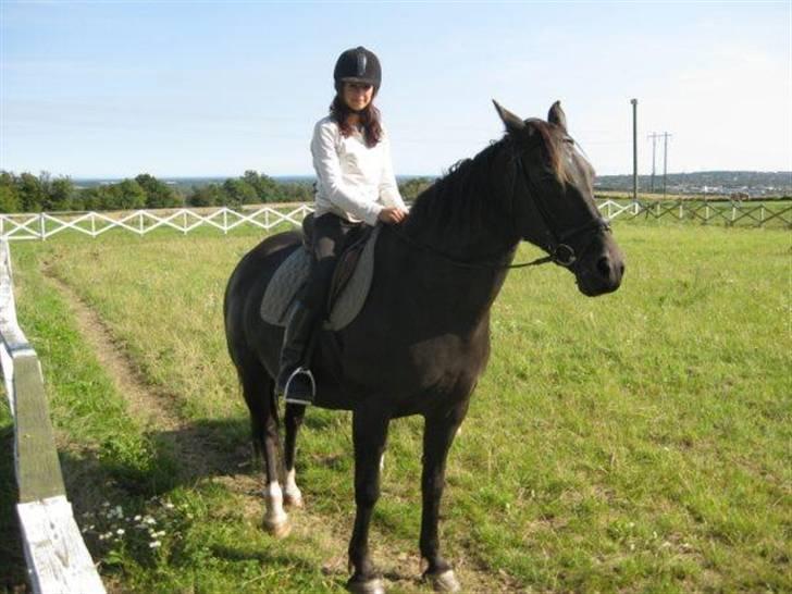 Anden særlig race musse billede 12